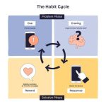 Cycle of habit formation