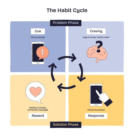 Cycle of habit formation