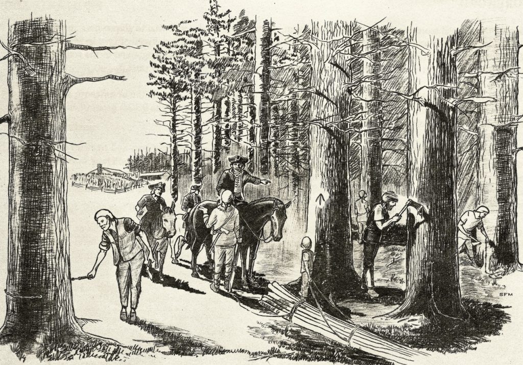 Colonial American timber industry