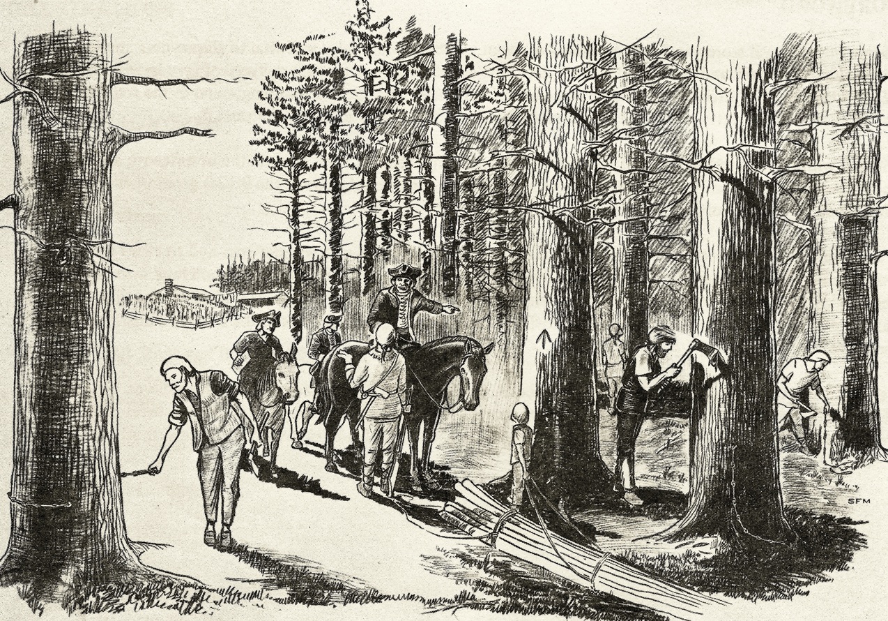 Colonial American timber industry